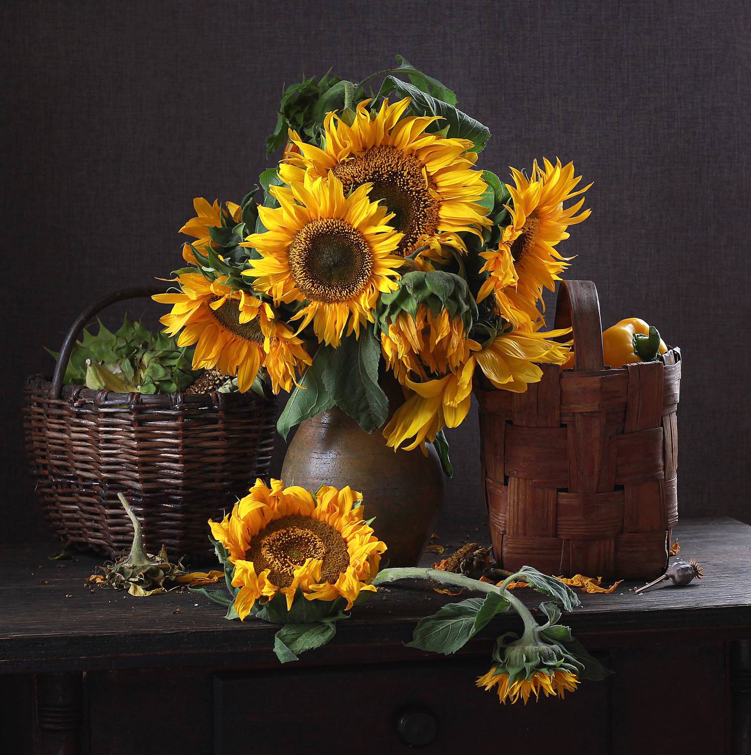 , Наталья Казанцева