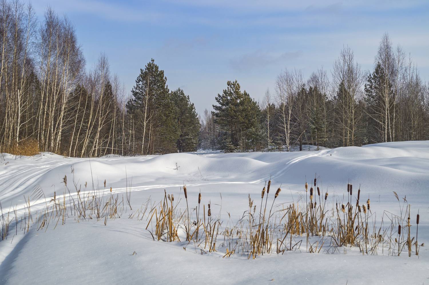 , Шитов Александр
