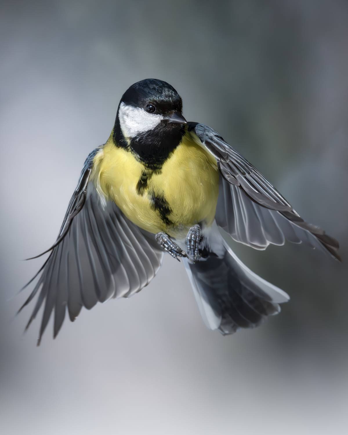 , Поляков Михаил