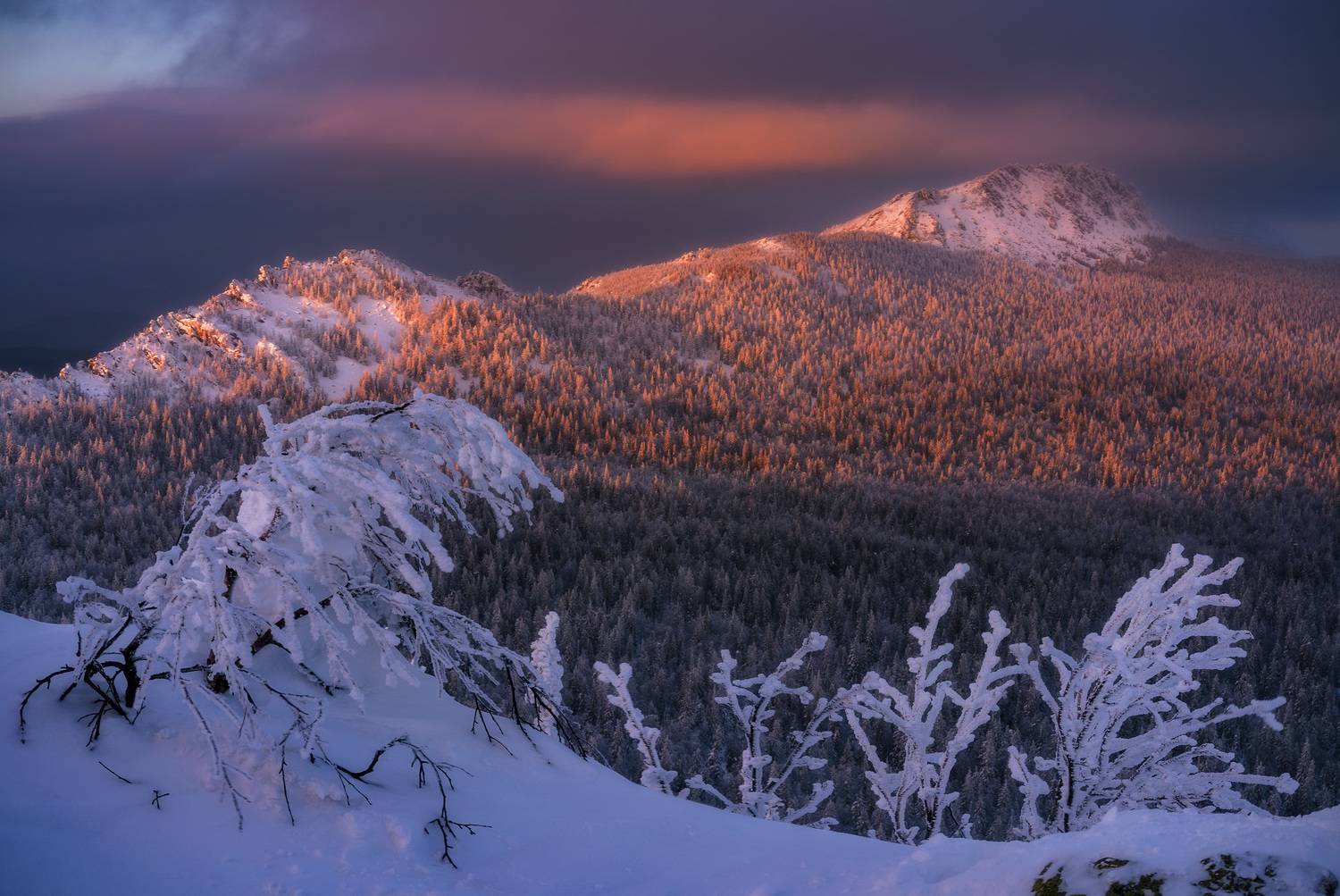 , Межин Сергей