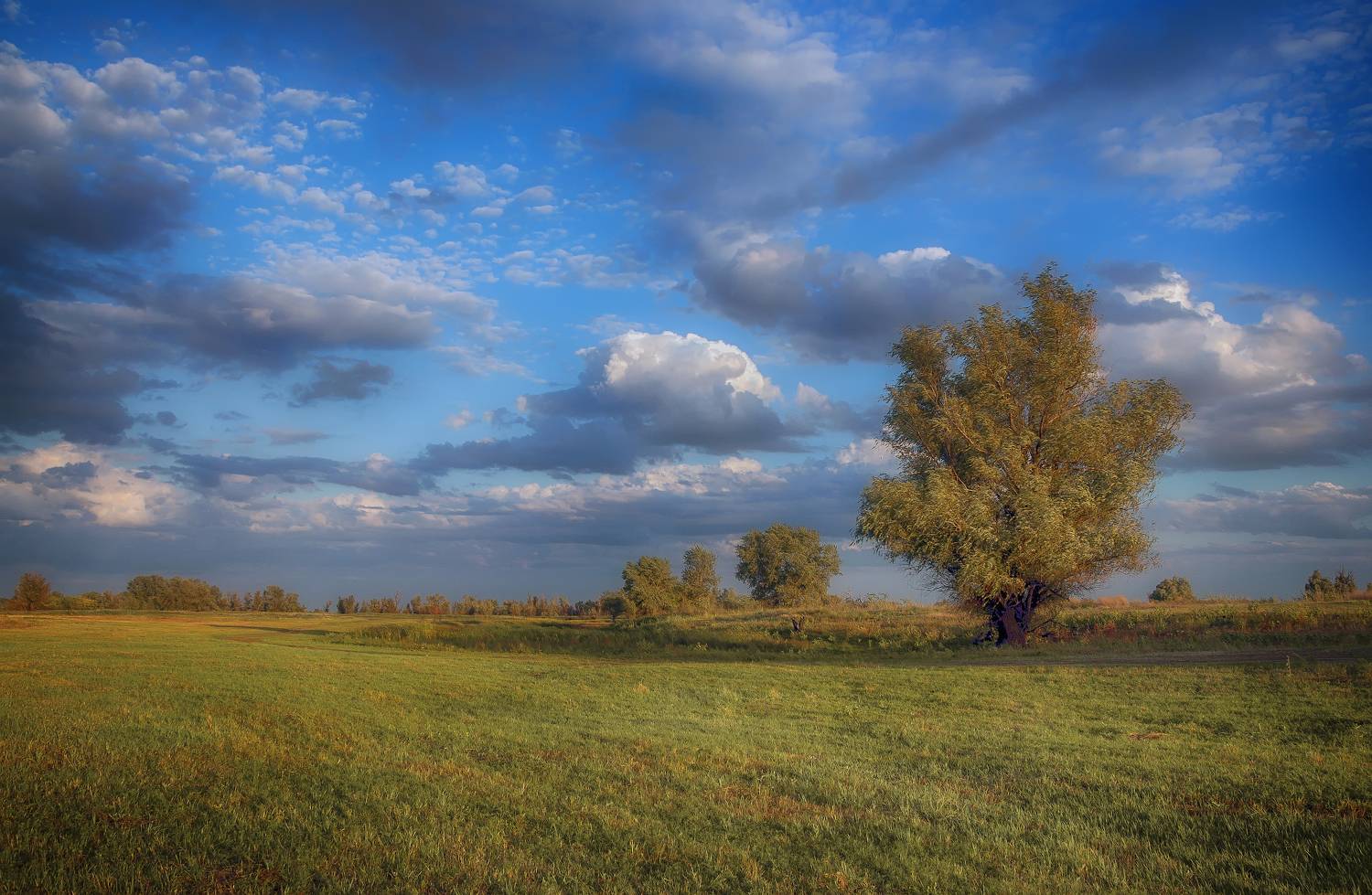 Степь, ветер, сентябрь, Сергей Аникин