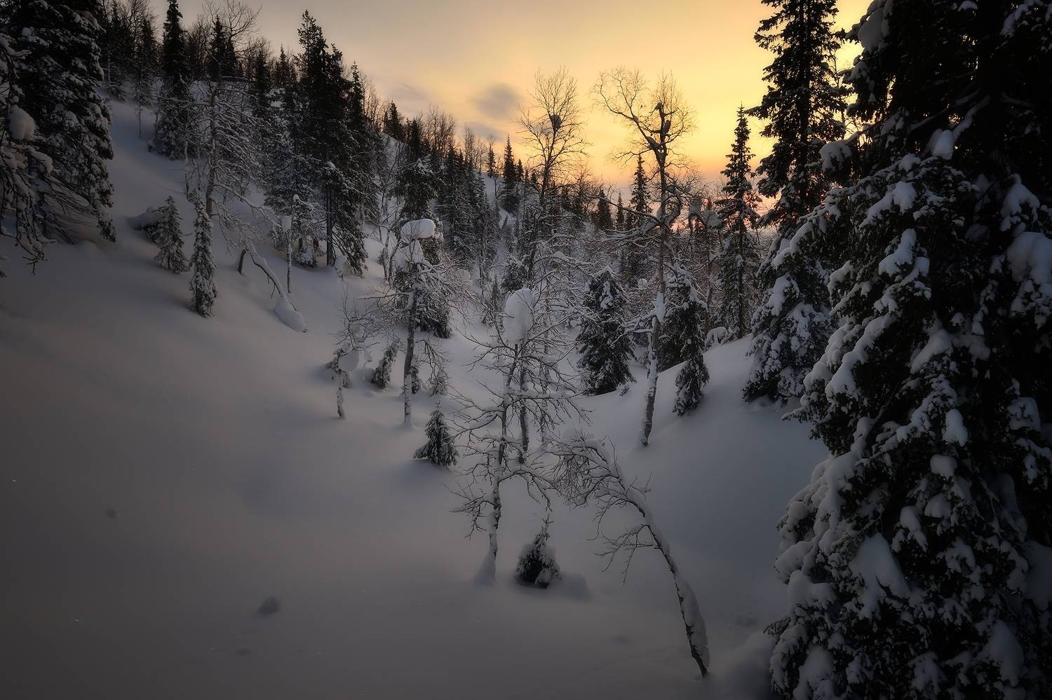 , Алексей Никонов