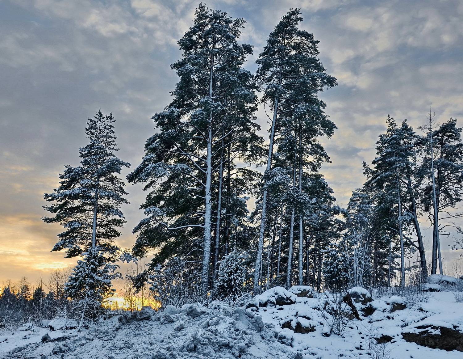 , Лидия Ушакова