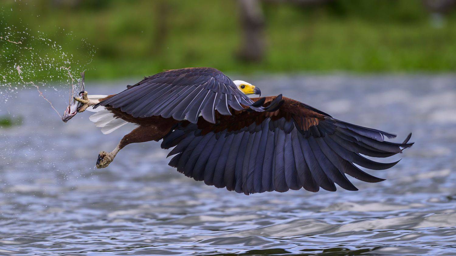 , Пупонин Сергей