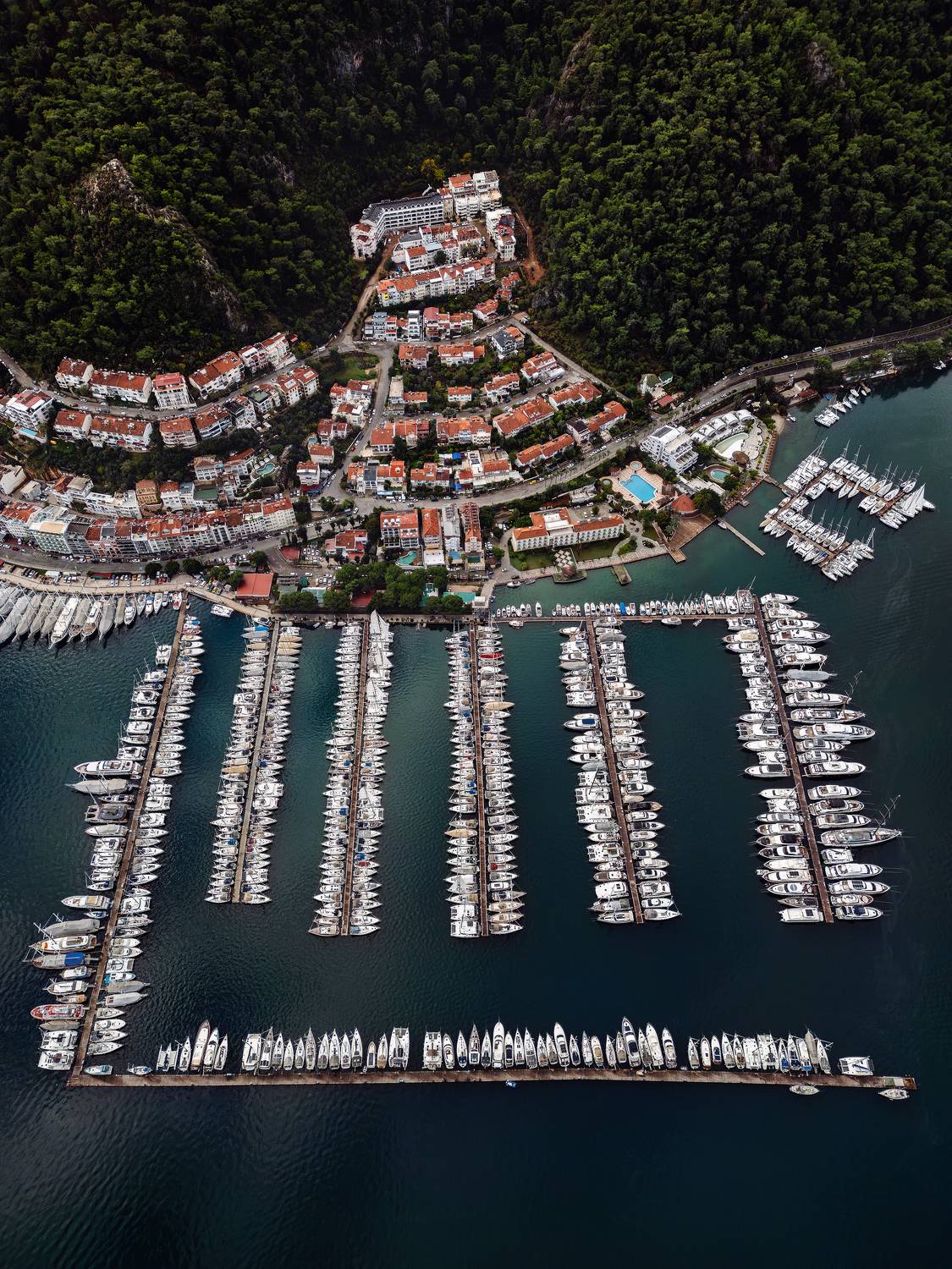 , Козаченко Алексей