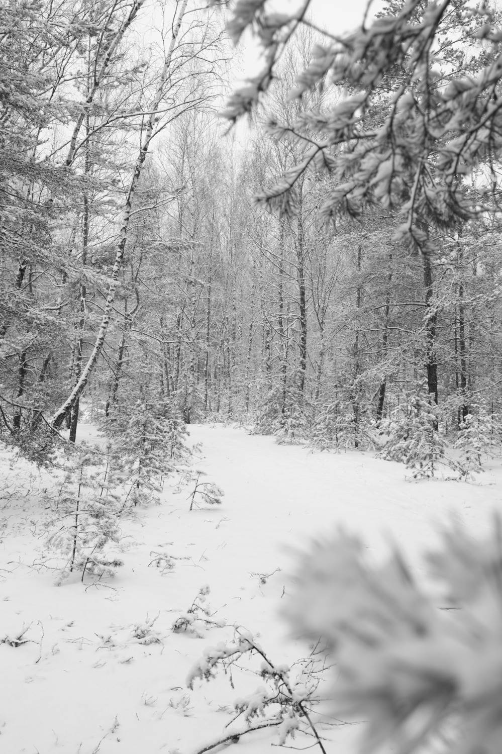 , Колосова Елена