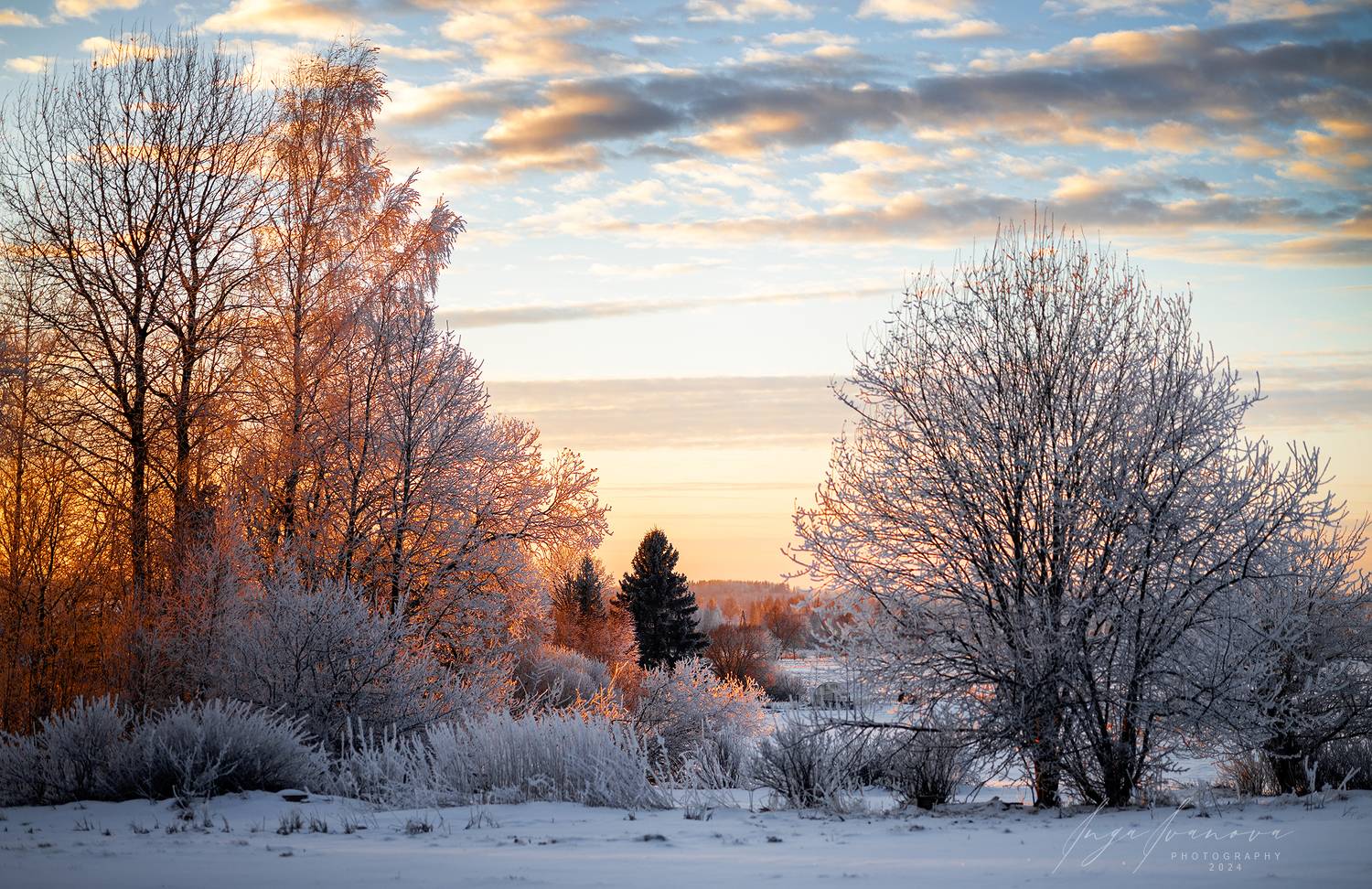 , Инга Иванова