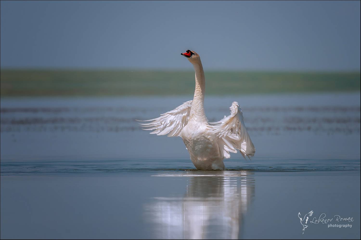 , Лобанов Роман