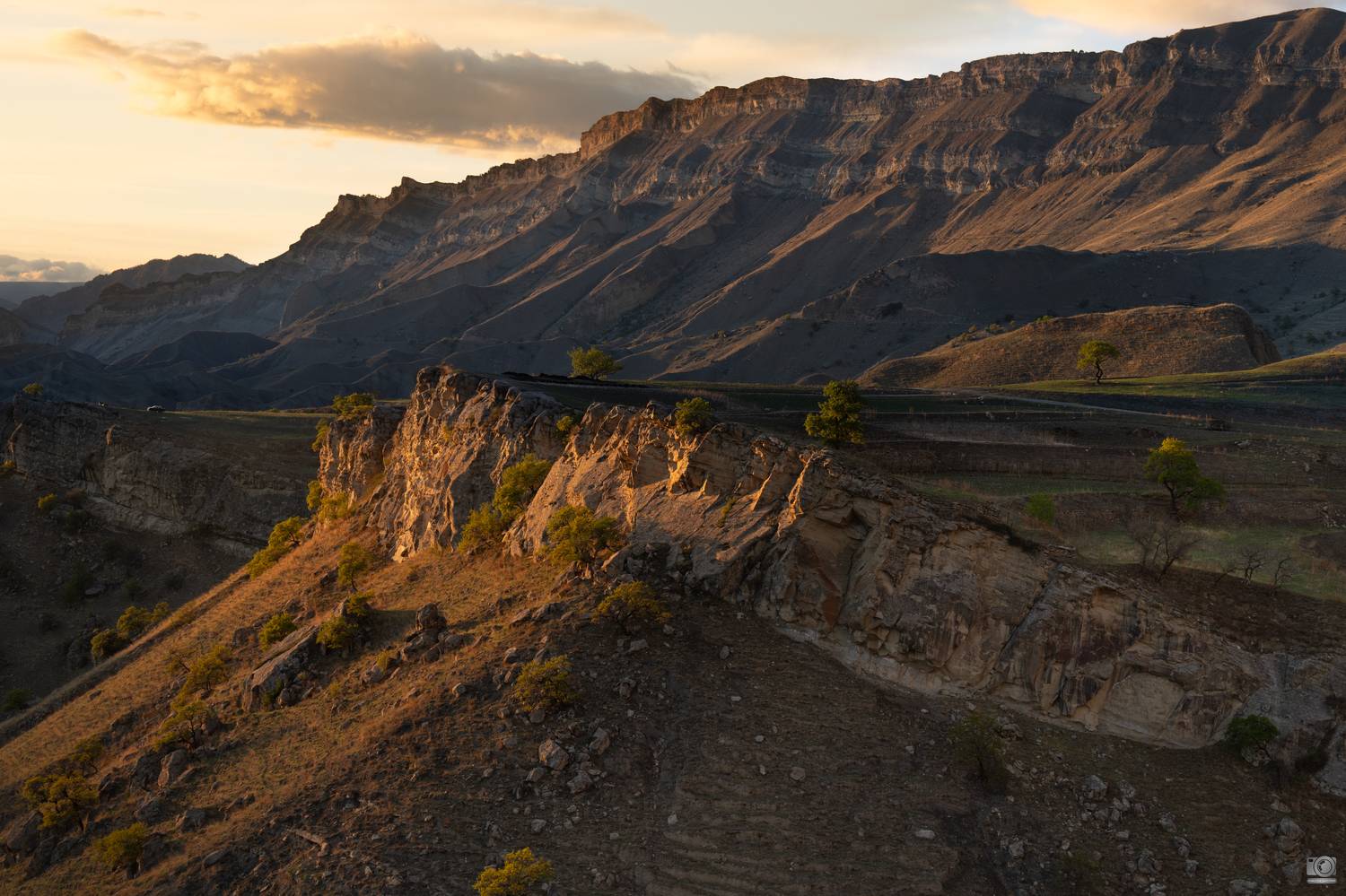, Ковалев Дмитрий