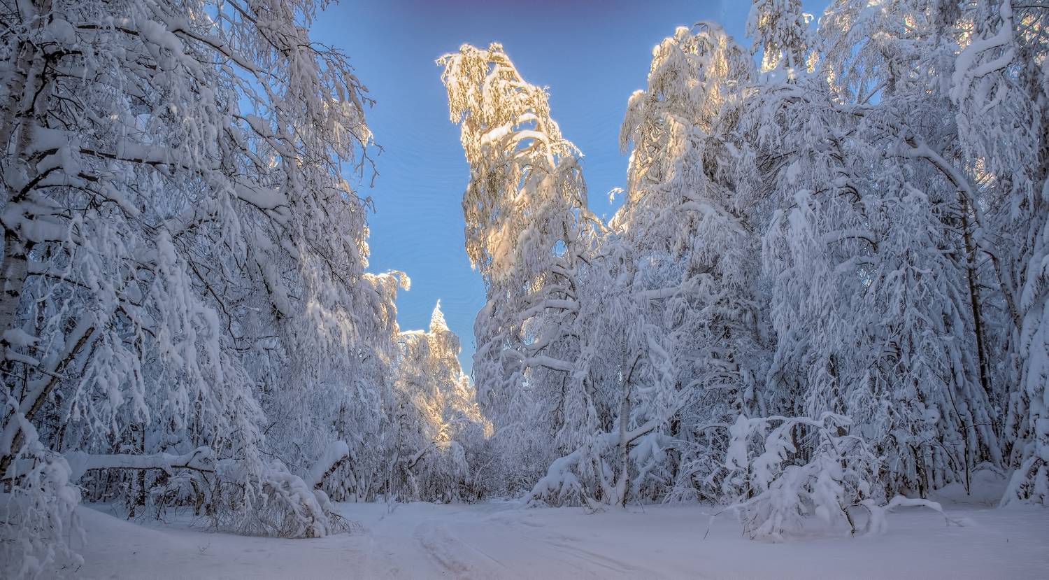 , Vladim Bormotov
