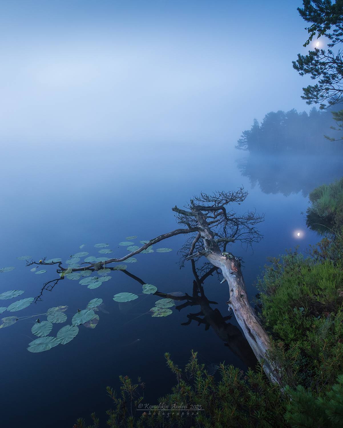 , Андрей Корочкин