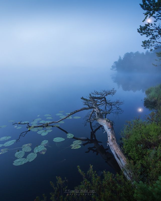 ... синий туман ... фото превью
