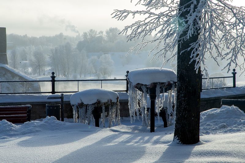 нарва зима мороз иней снег Клумбы зимы фото превью