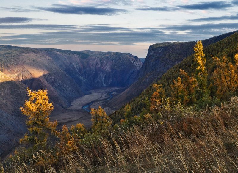 алтай, республика алтай, чулышман Долина Чулышмана фото превью