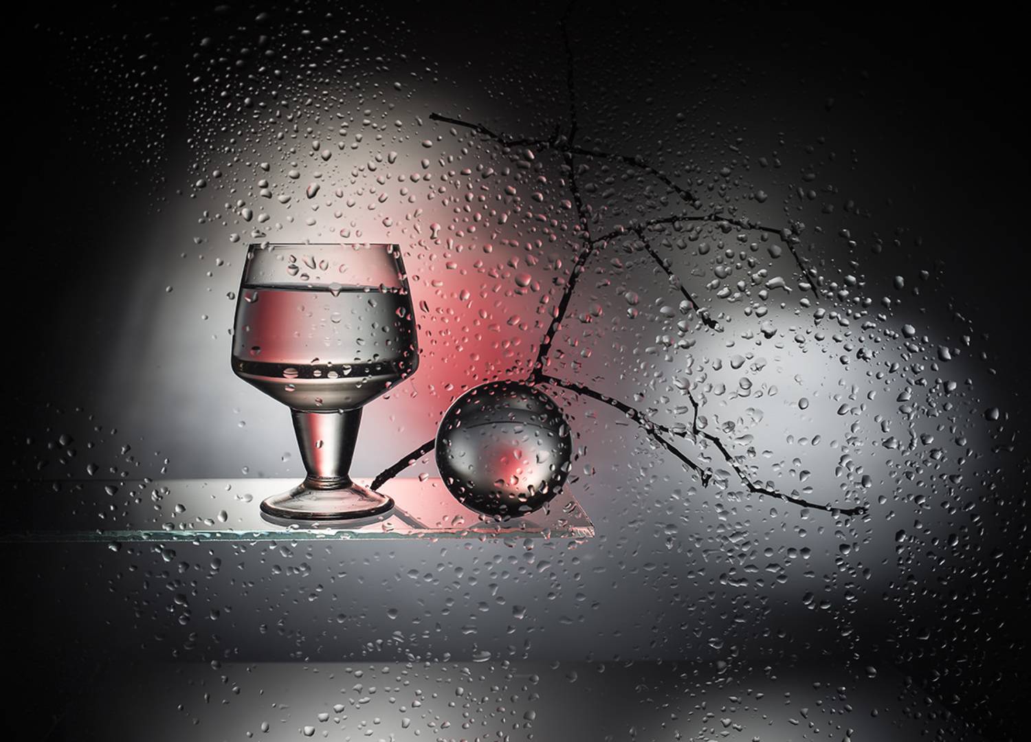 , Евгений Попов