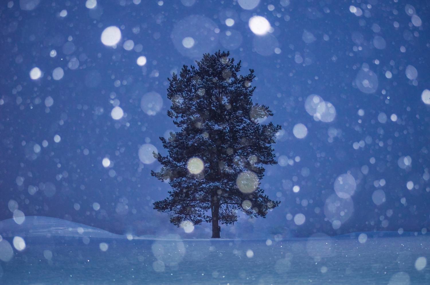 пейзаж, природа, зима, снег, снегопад, республика коми, Mysov Ivan