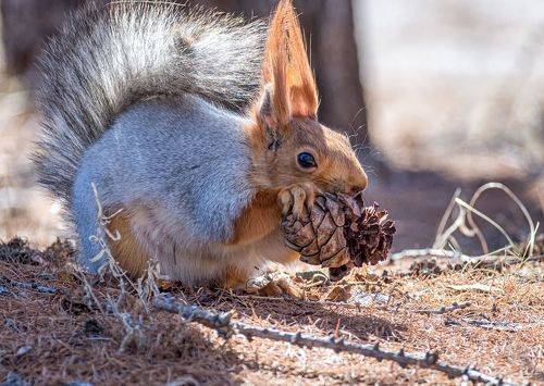 Не отвлекать..!