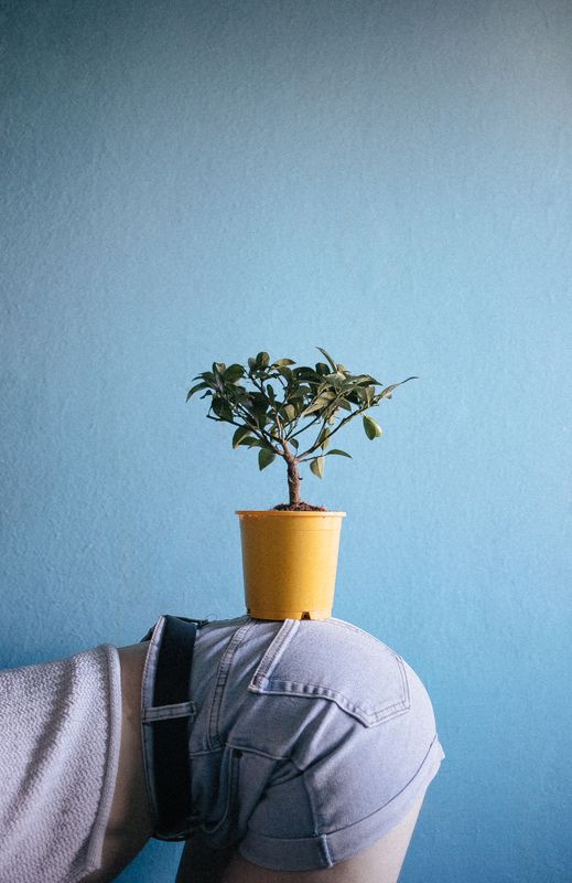 фотосессия, фотограф, модель, цветы, лимон, красивое фото, фотограф в Минске, Дмитрий Гусалов Оригинальная подставка фото превью