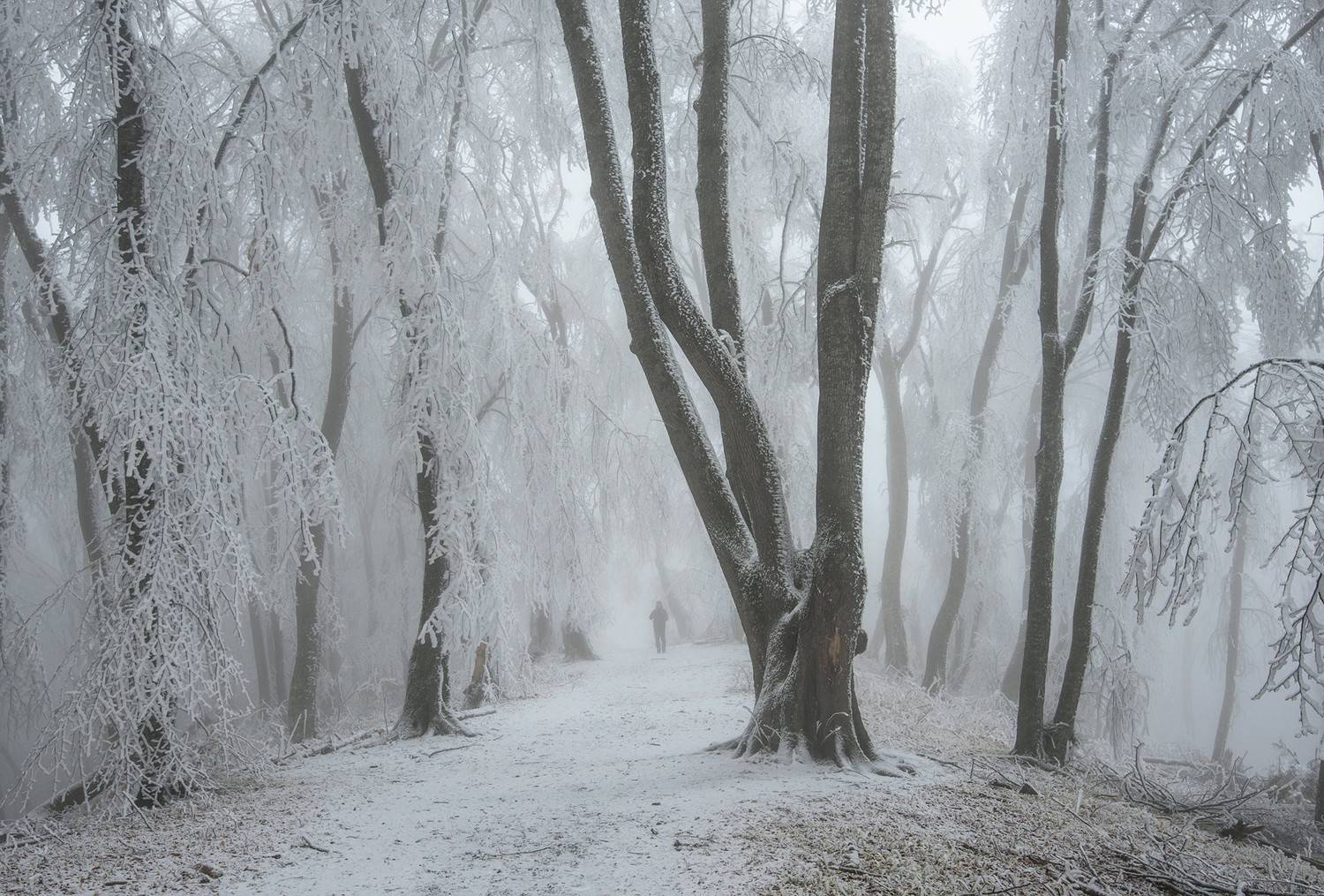 кизиловка, кабардино-балкария, Хасан Журтов