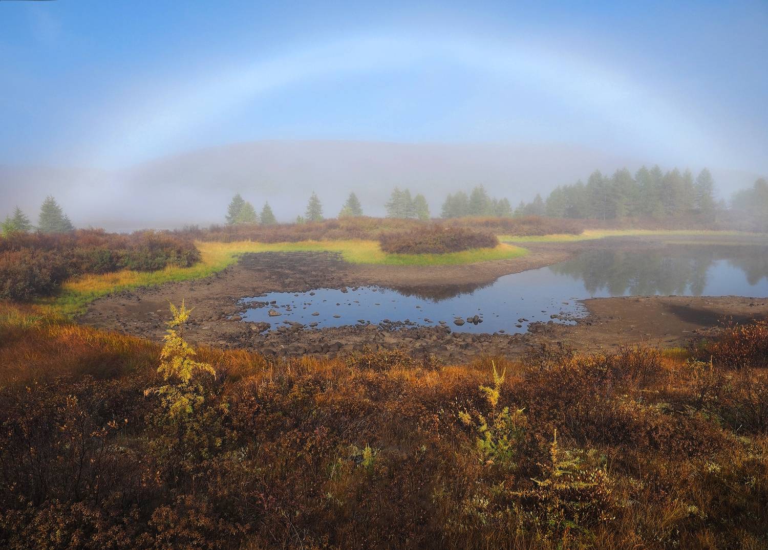 , Александр Попов