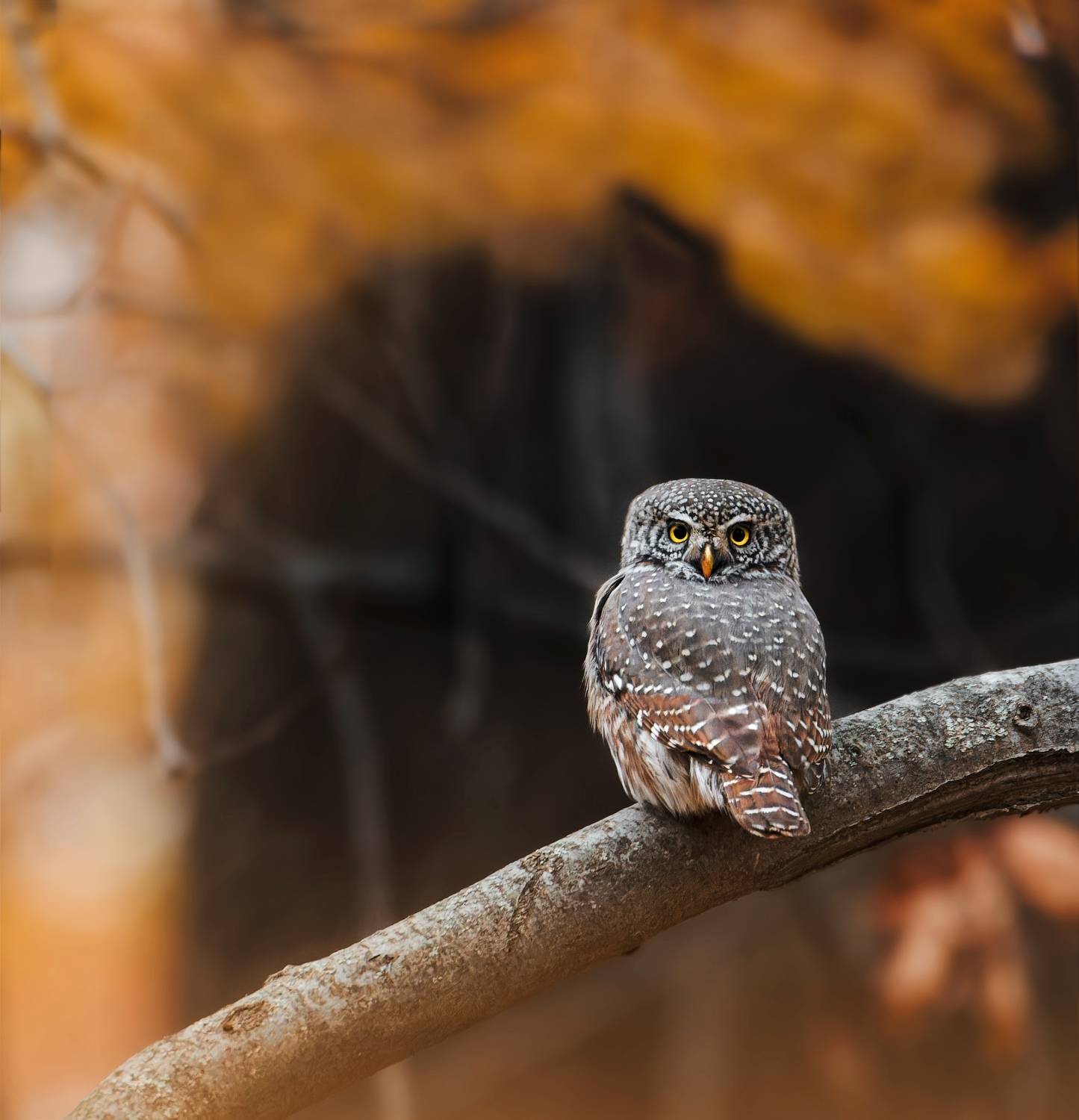 , Фото Александр