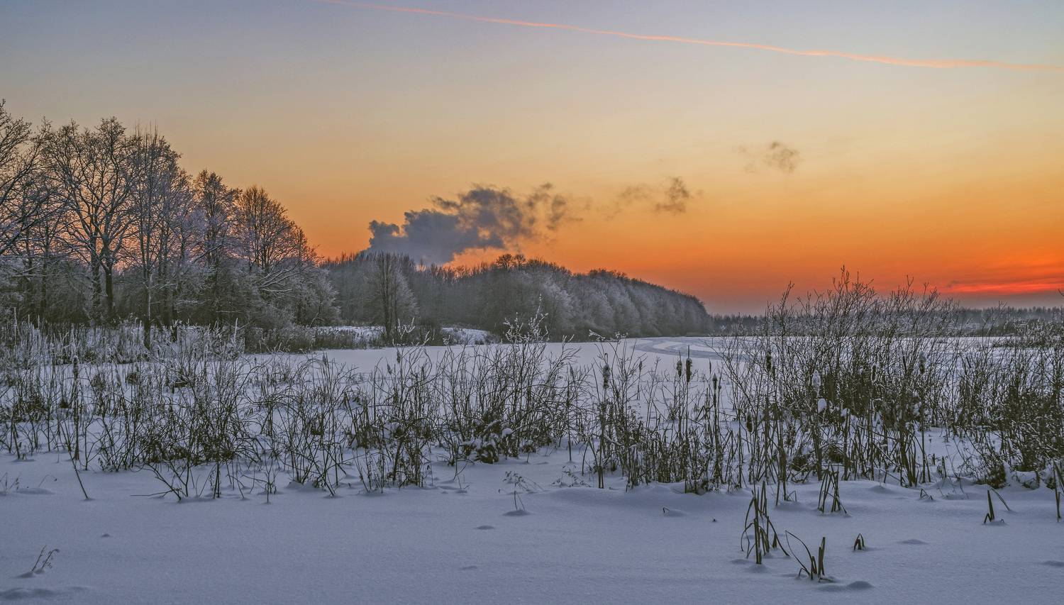 , Шитов Александр