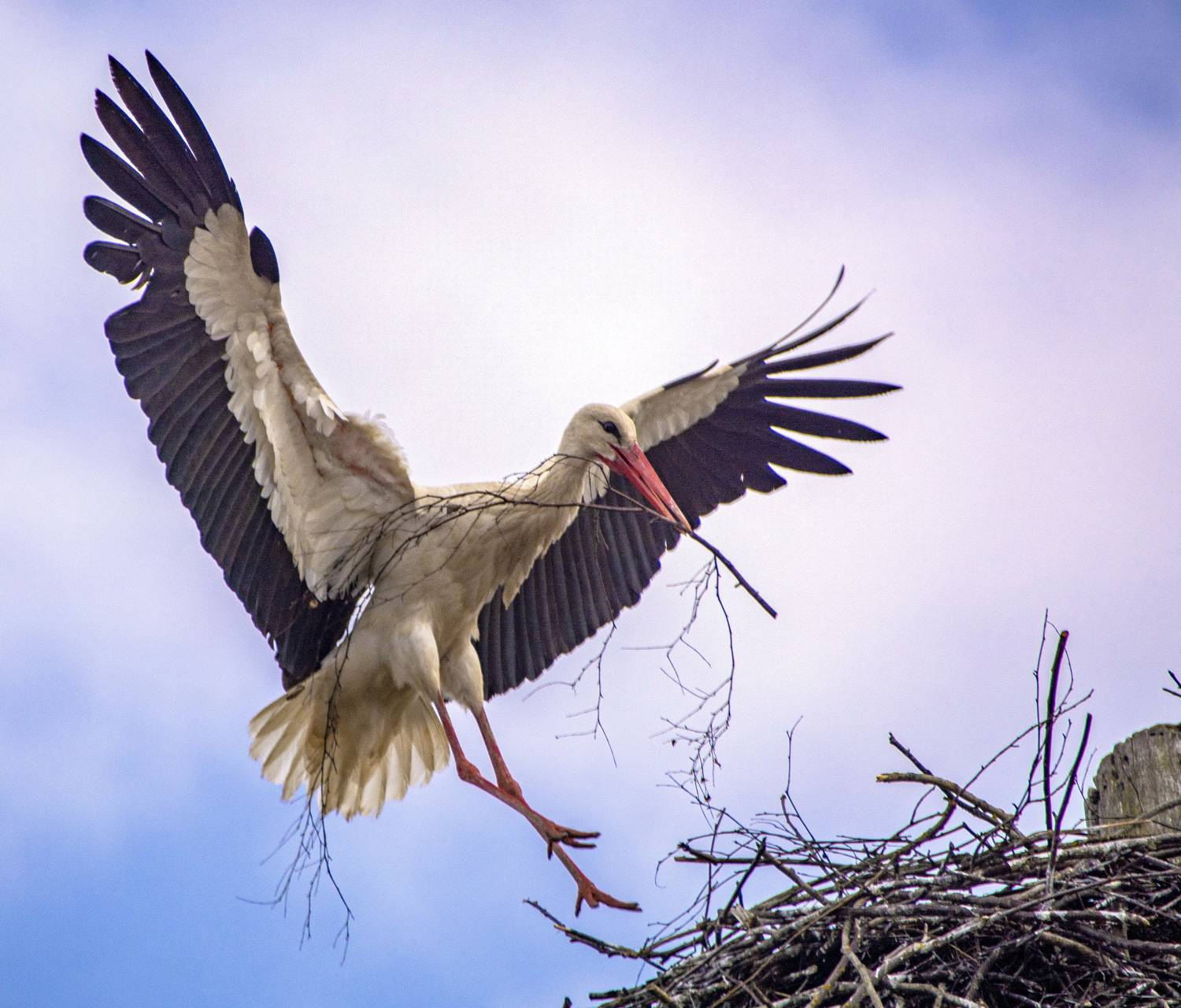 , Борис Риганов