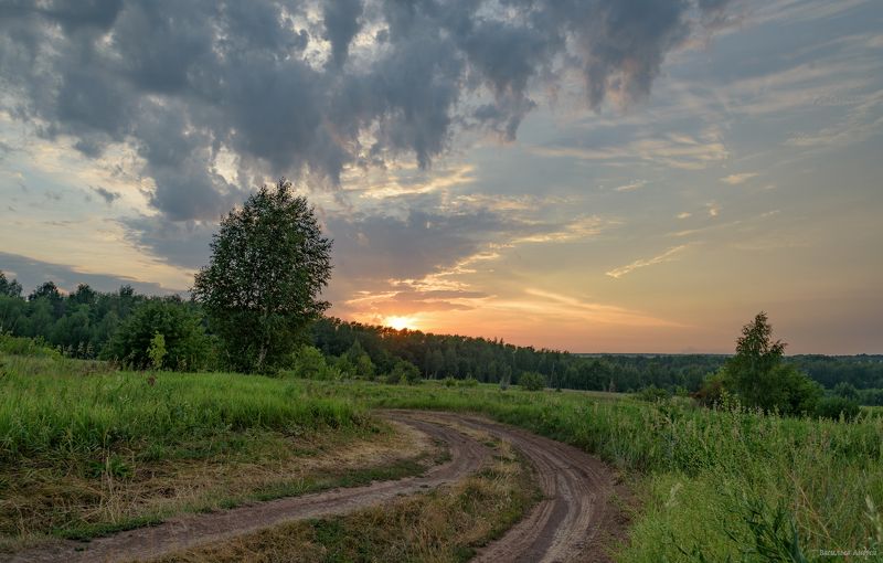 вечер, закат, татарстан, природа, лето *** фото превью