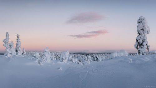 Доброе утро Волосяной