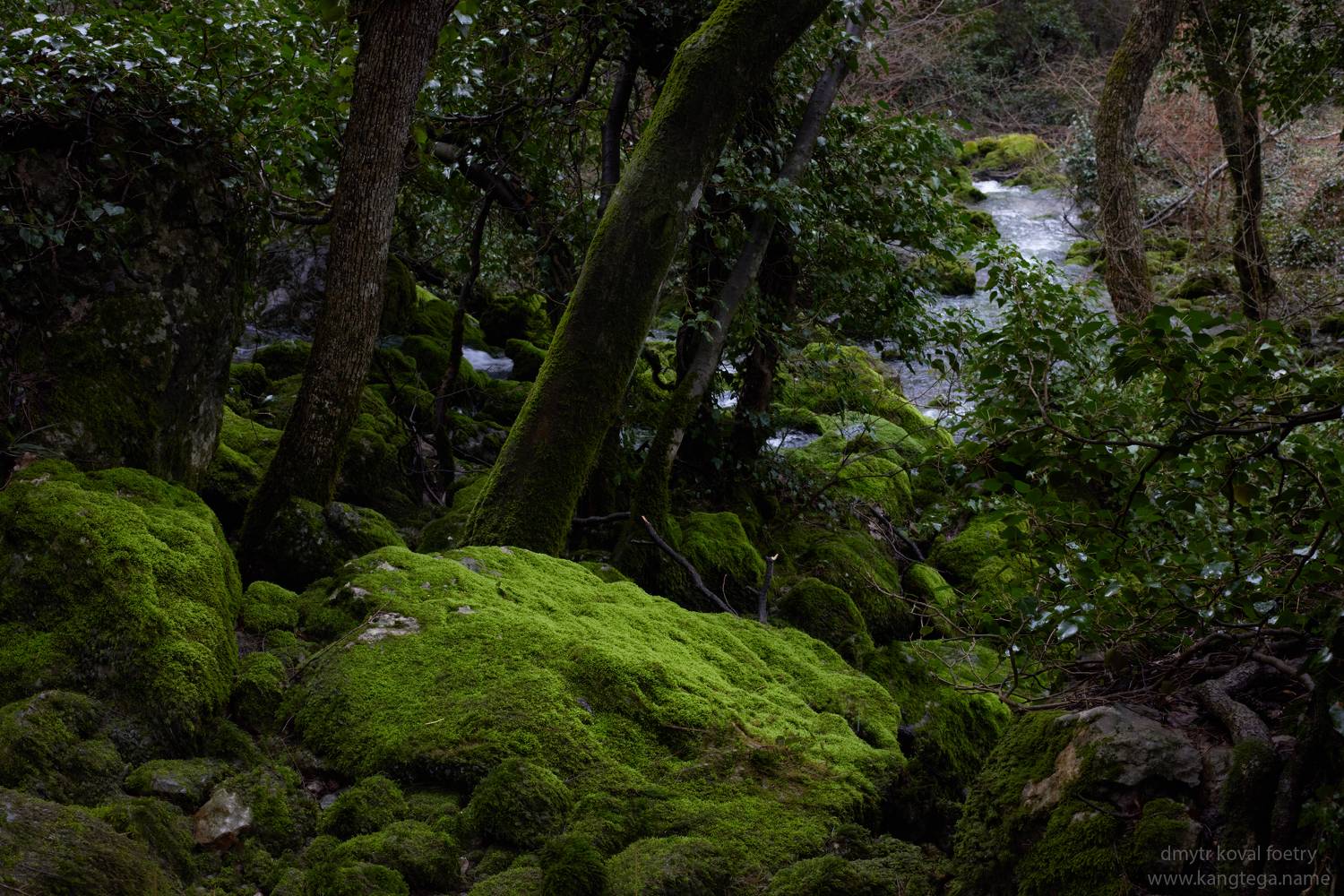 пейзаж как магия, Коваль Дмитр