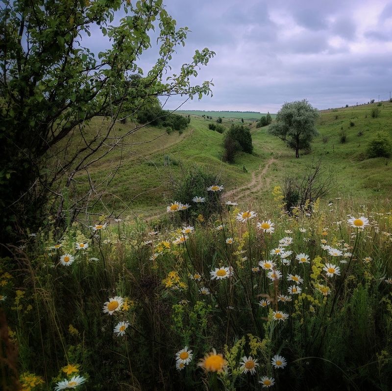 фото превью