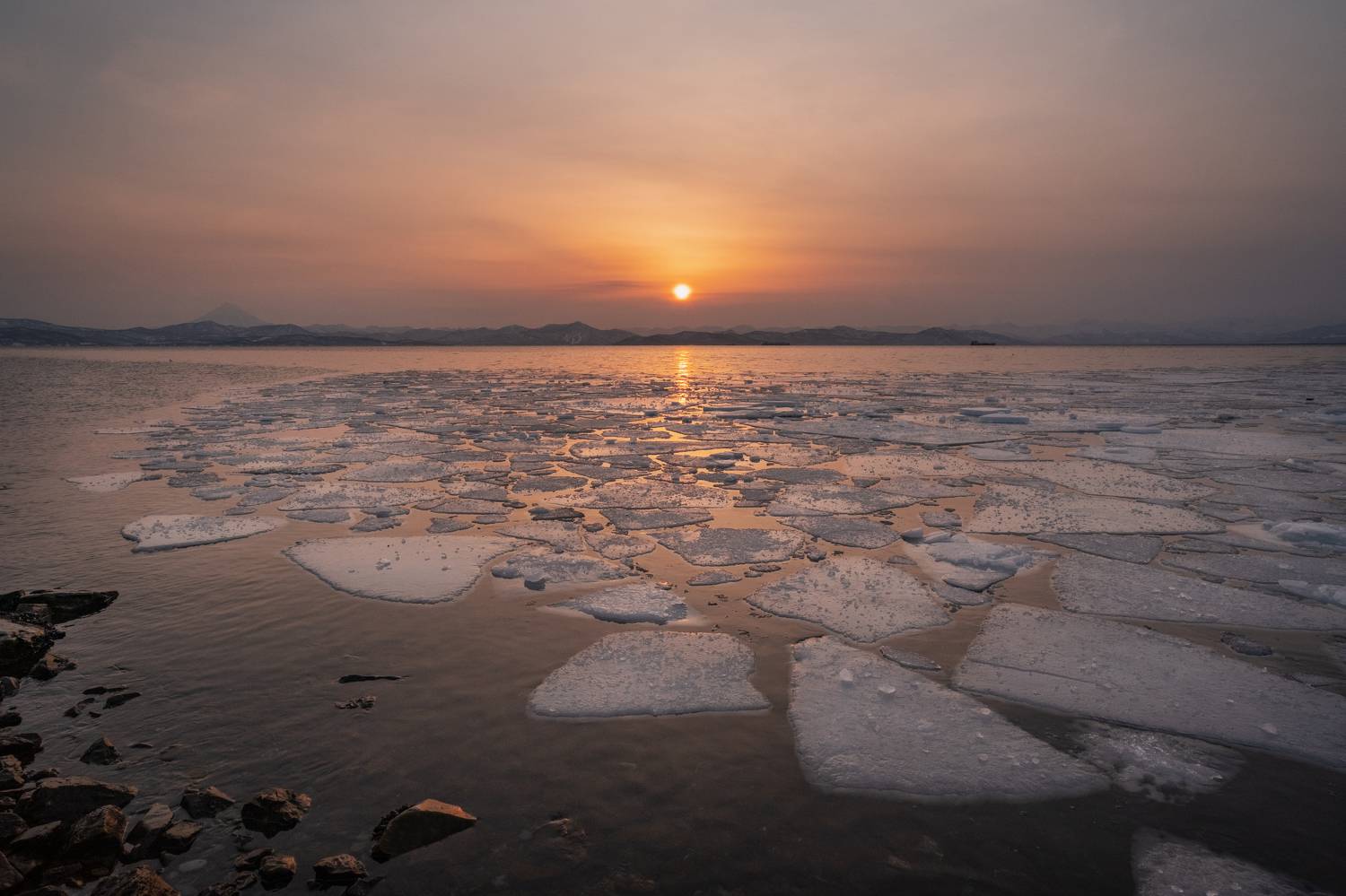 , Наталья Королева