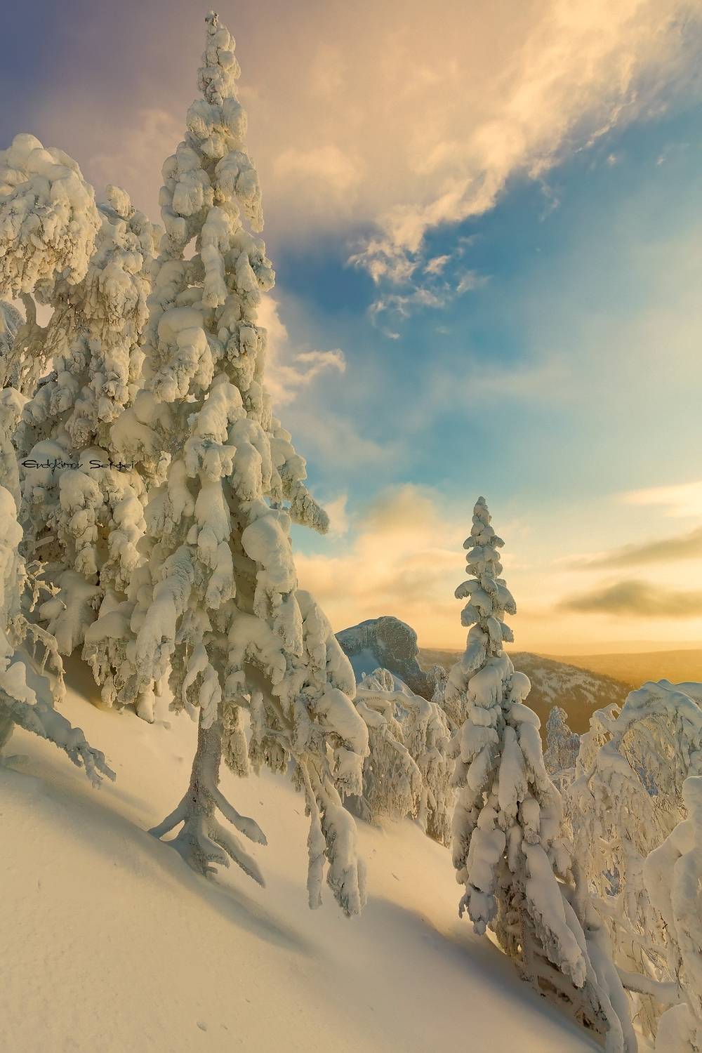 , Евдокимов Сергей