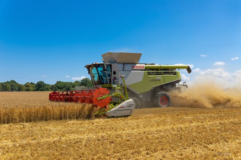 жатва, урожай, поле, комбаин, Россия, Калининградская область, фотография, Свирин Вадим, пшеница, лето, harvest, harvest, field, combine, Russia, Kaliningrad region, photography, Vadim Svirin, wheat, summer Жатва. фото превью