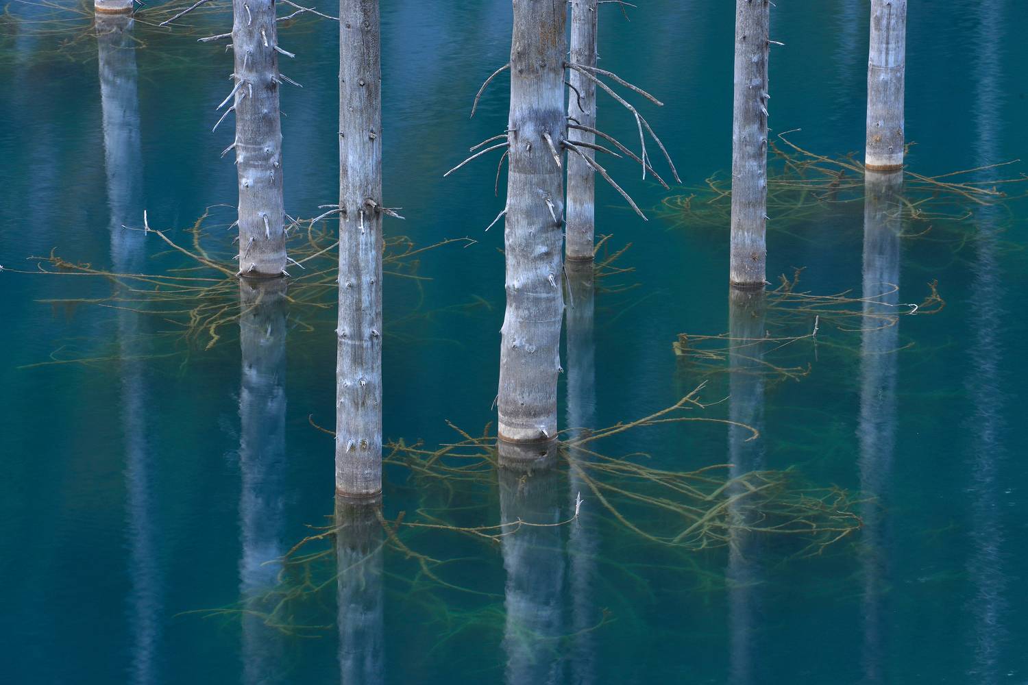 джетысу, семтречье, алтынемель, маки, казахстан, чарын, тяньшань, кольсай, каинды, фототур, фотоутрсемтречье, фототурджетысу, фототурмаки, фототурчарын, чарынскийканьон, Кутыгин Эдуард