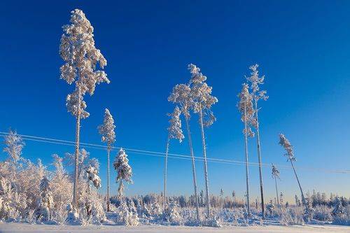 Winter