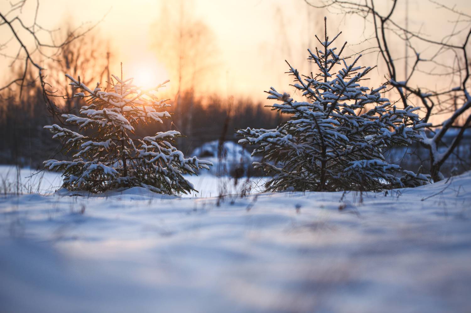 , Зеленько Дмитрий