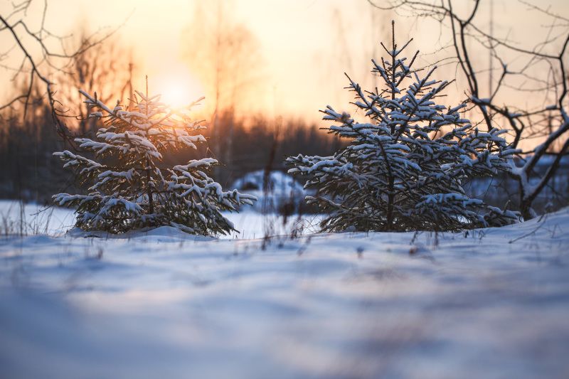 Вечереет... фото превью
