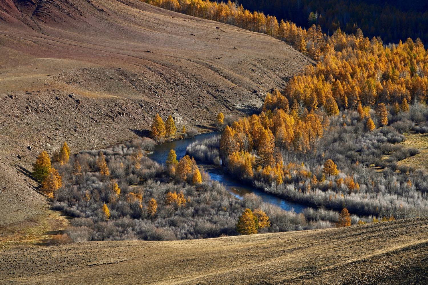 Кош-Агач, Кузнецов Андрей