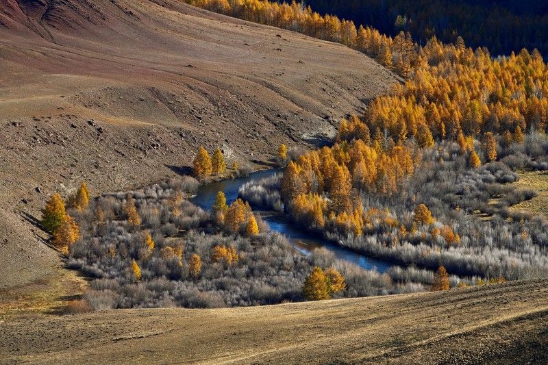 Октябрь фото превью