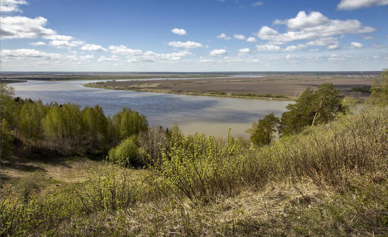 весна май река томь, Алексей Хахлов
