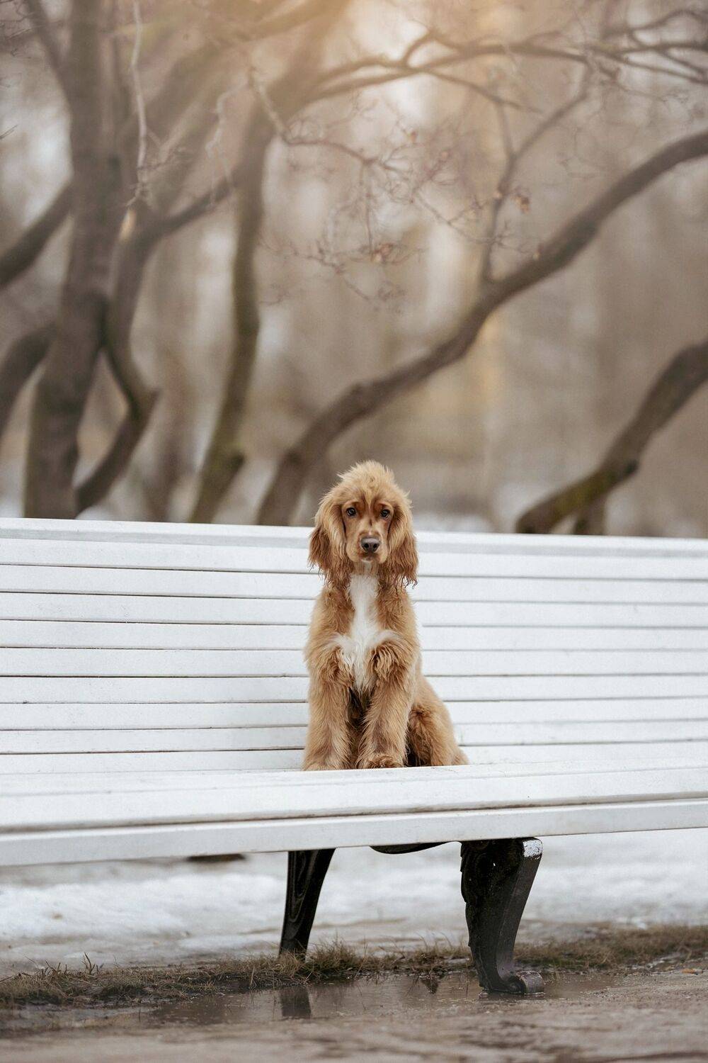 , Мария Романова