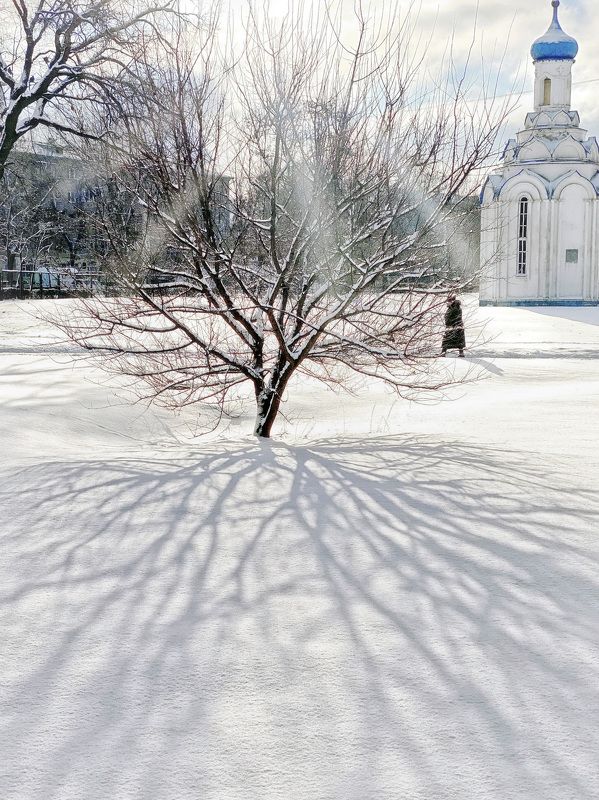 Солнечный день фото превью
