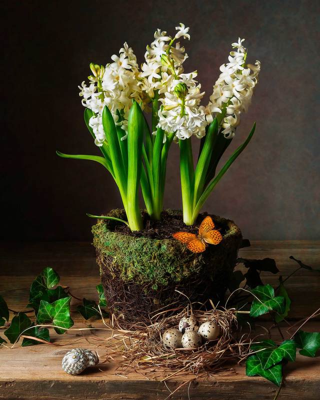 hyacinth, spring flowers, easter, butterfly, still life photography Still life with White Hyacinth фото превью