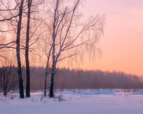 Зимний вечер