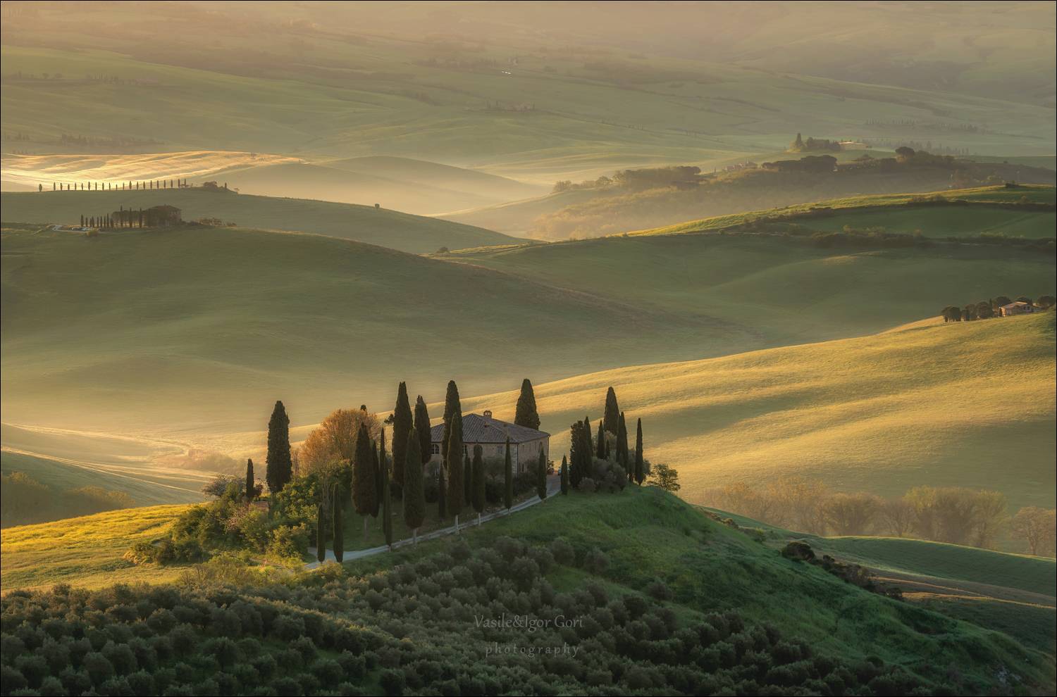 italy,san quirico d \\\' orcia,italia,туман,италия,тоскана,pienza,кипарис,toscana,осень,tuscany,cipressi,belvedere,пьенца,тени, Гори Василий