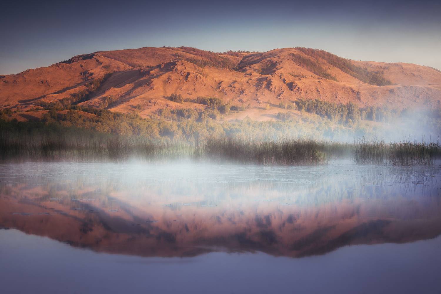 , Силантьев Даниил