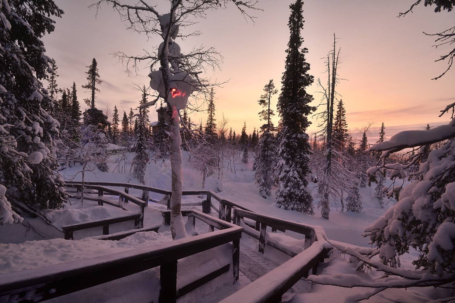 Кольский, зима, Хибины, лес, снег, закат, Алексей Никонов