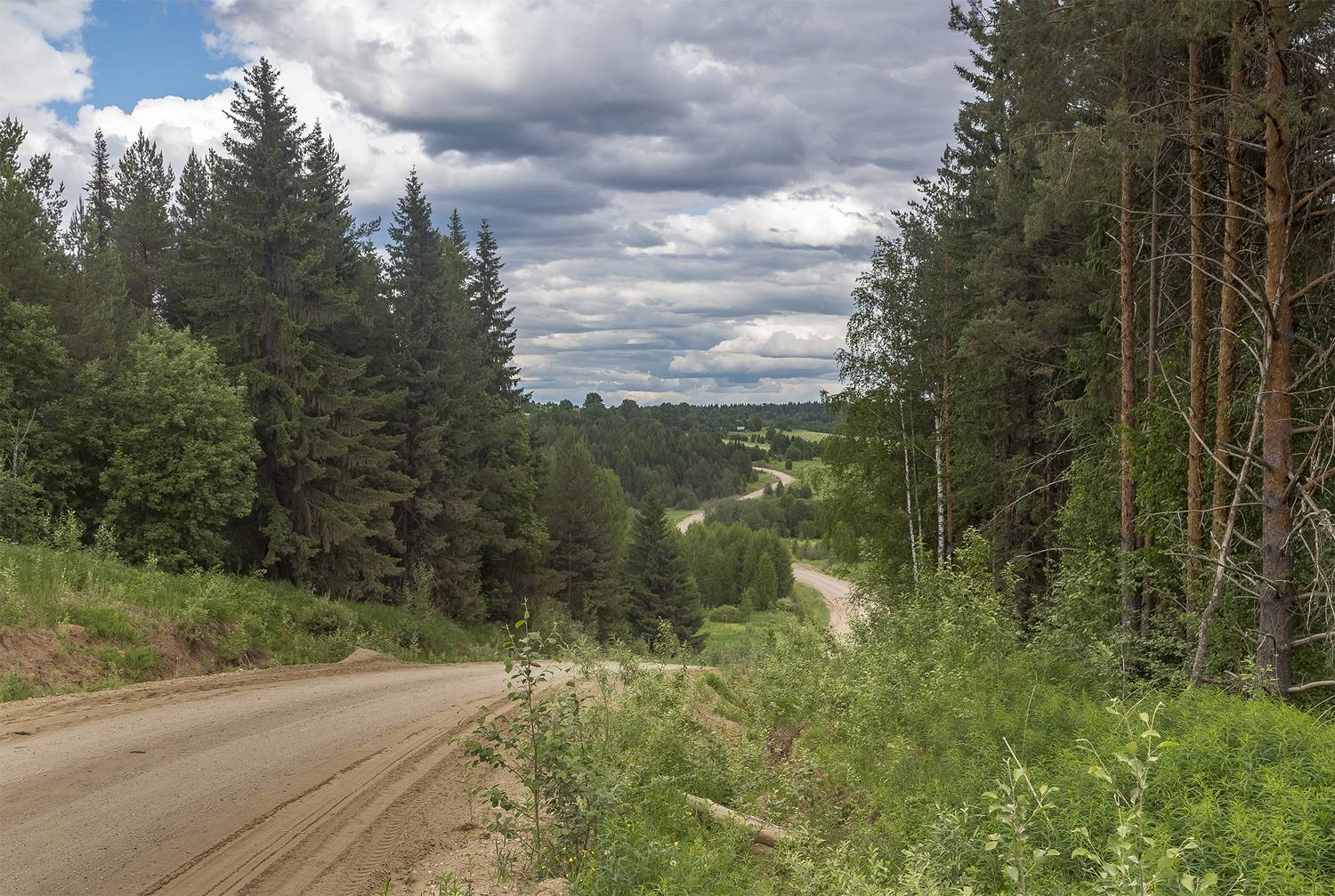 лес, дорога, овраг, спуск, даль., Анкудинов Леонид