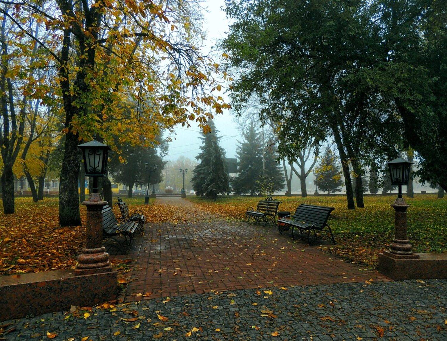 , Савоцкий Роман